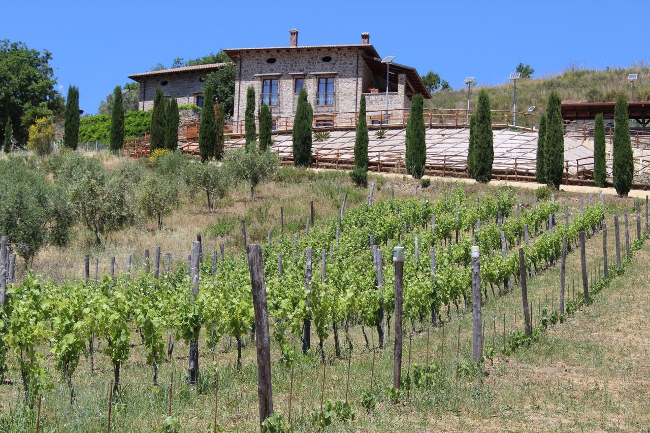 Feudi Enchestre Agropoli Couette-café Ogliastro Cilento